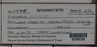 Image Associated With the Occurence